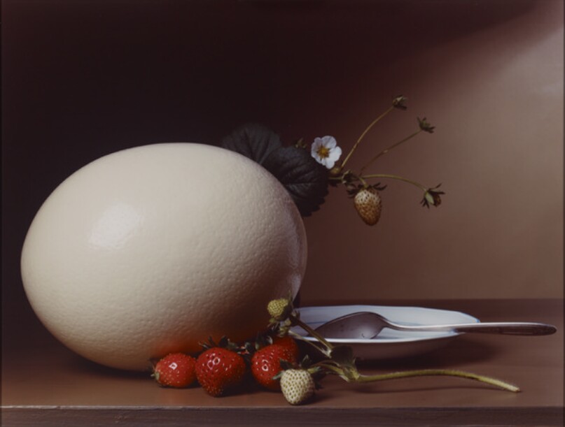 Early American, Strawberries and Ostrich Egg