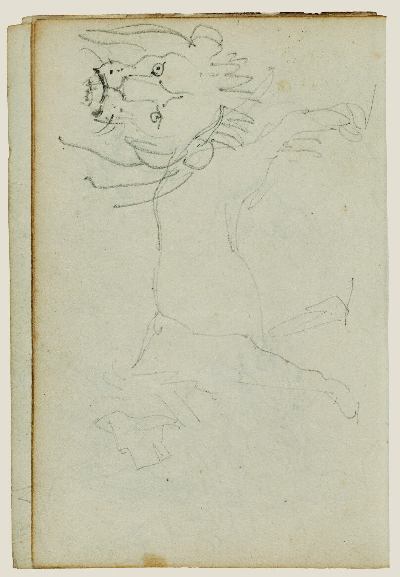 Lion walking, face of lion