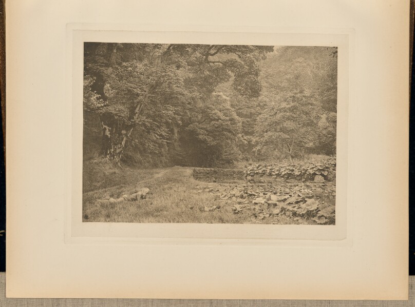 A Quiet Nook in Beresford Dale