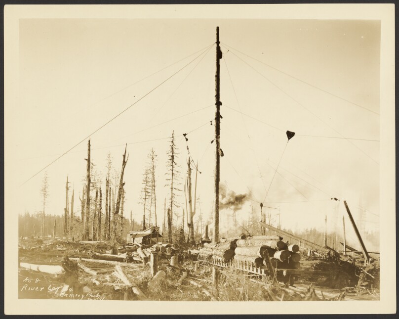 [ Logging/ Timber Scene]