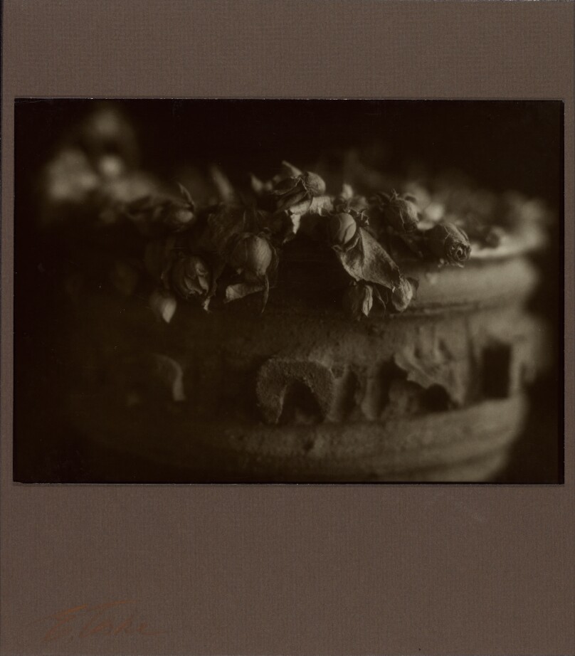 [Dead Roses in Urn]