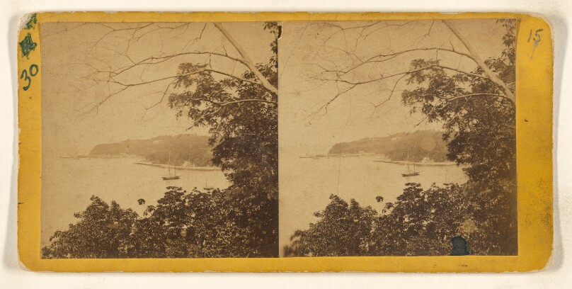 [Sea Cliff Grove, L.I. Glen Cove Landing No. 8]