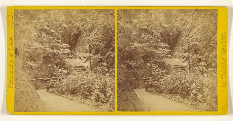 [Shanklin Chine, Isle of Wight]