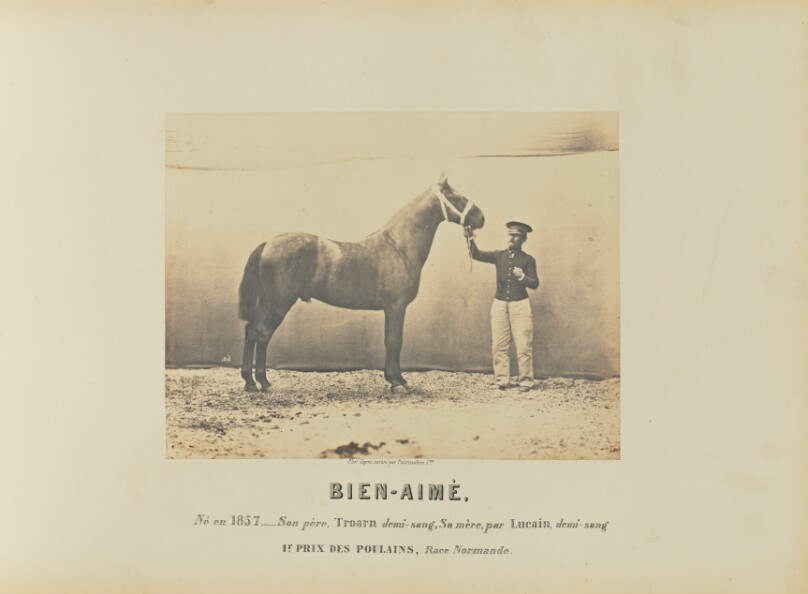 Bien-Aimé