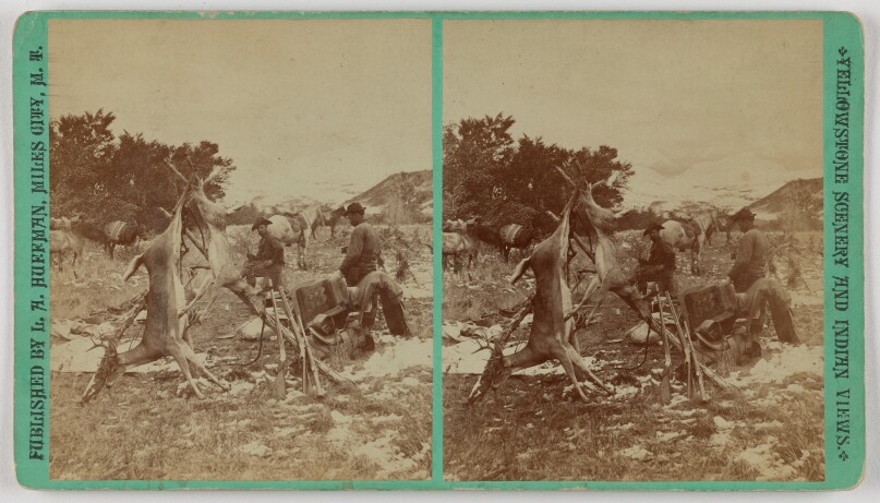 [30 days hunt in the Big Horn "Deer camp on little Horn"]