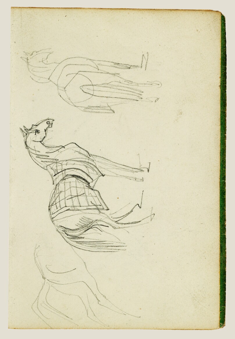 Three horse studies