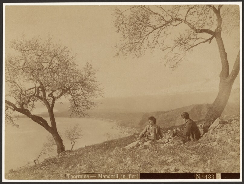 Flowering Almonds, Taormina