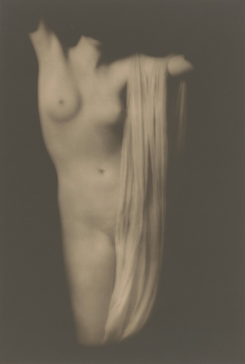 Modern Torso