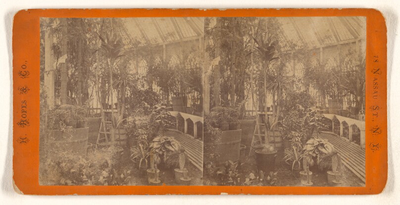 Interior of U.S. Conservatory, Botanic Garden - Washington.