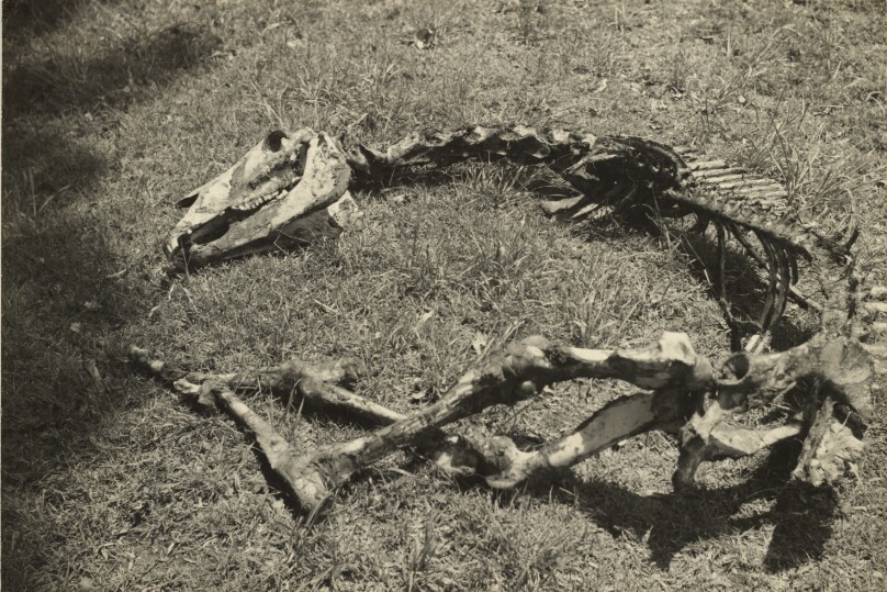 Ruin (B)/[Ruina (B)]