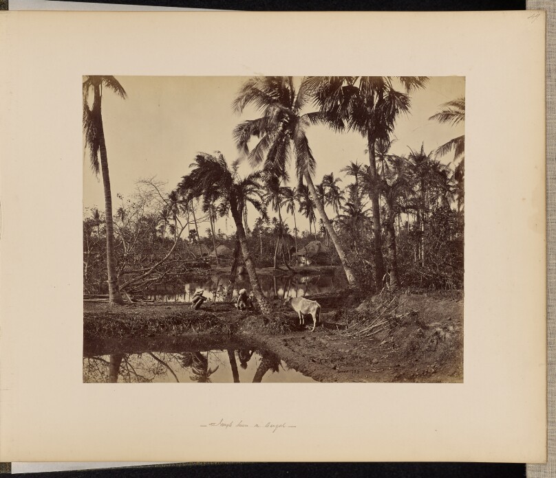 Calcutta; Rustic Scenes and Rural Life in Bengal