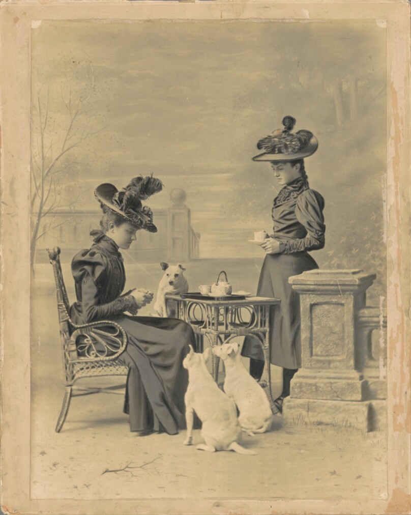 [Women and dogs having tea]