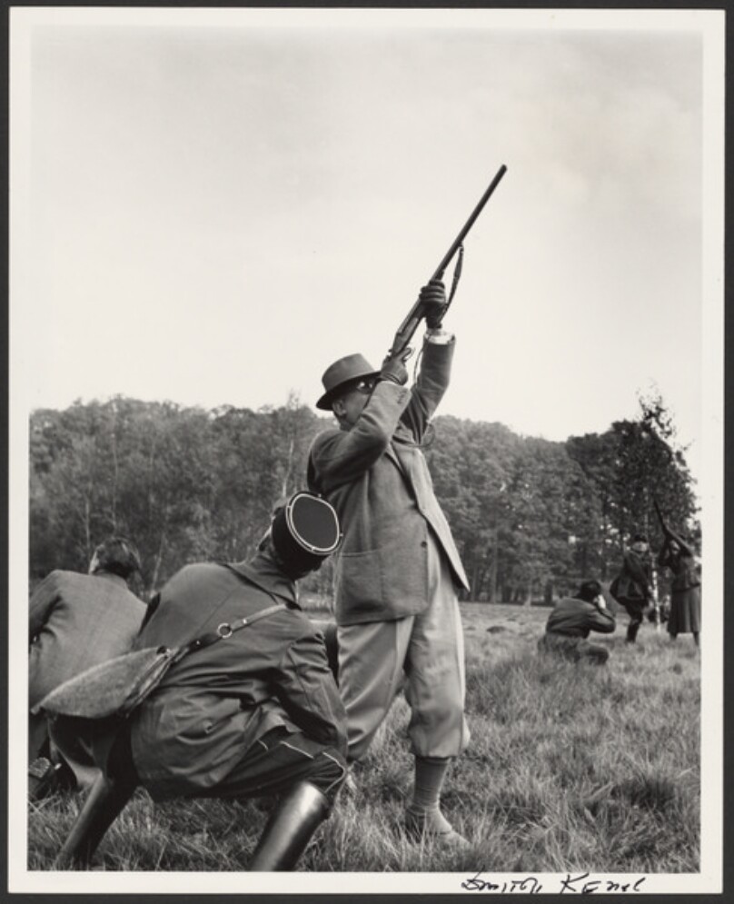 As His Aides Duck for Cover France's President Vincent Auriol Attempts to Down Pheasants