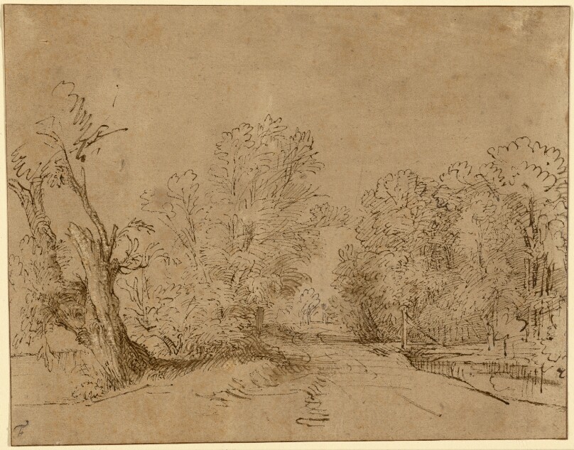 A Wooded Road