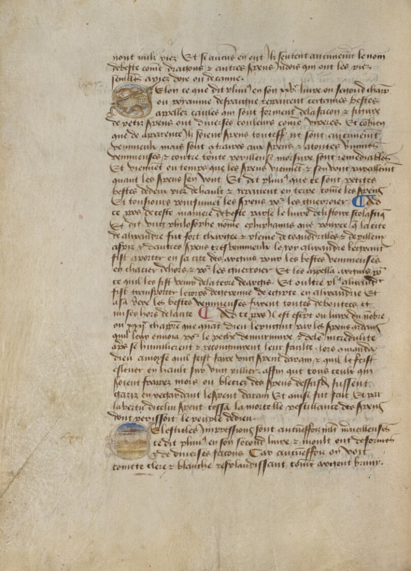 Historiated Initial S: Two Fantastic Creatures; Historiated Initial C: Comet