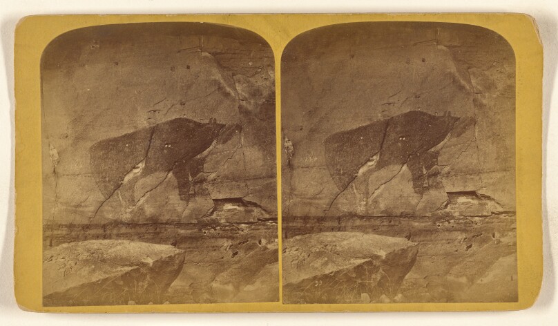Natural Photograph of a Bear on the Rocks of the Purgatoire River. 18 Miles from Las Animas, Colorado.