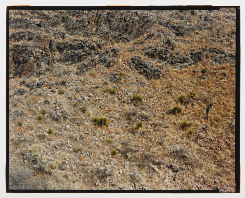 Jeff Davis County, Texas