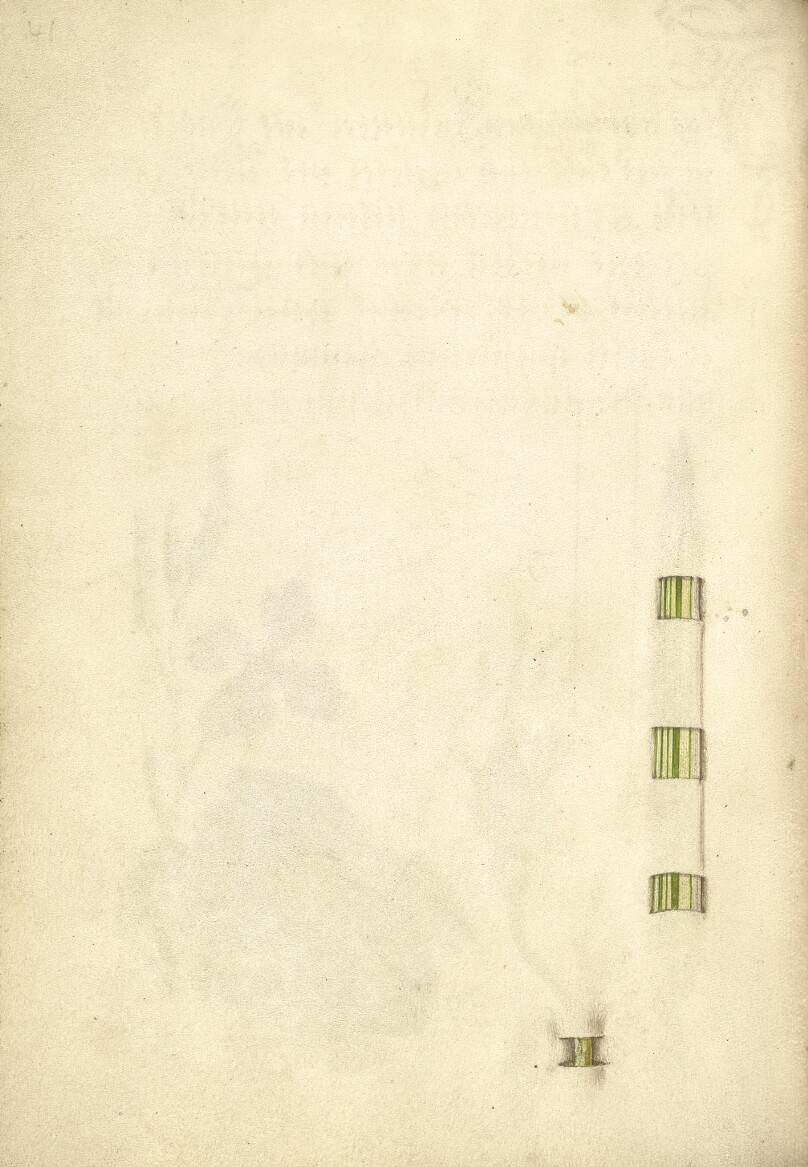 Trompe l'Oeil Blade of Reed Grass and Stem of a French Rose