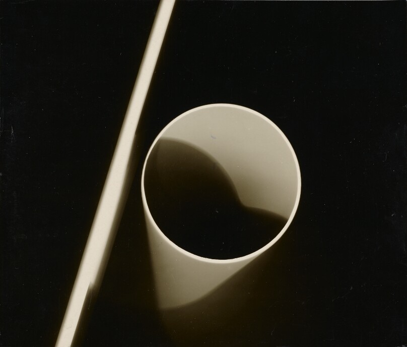 Photogram [Fotogram]