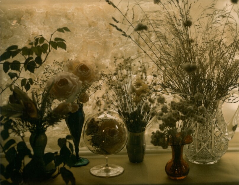 Floral in the Window