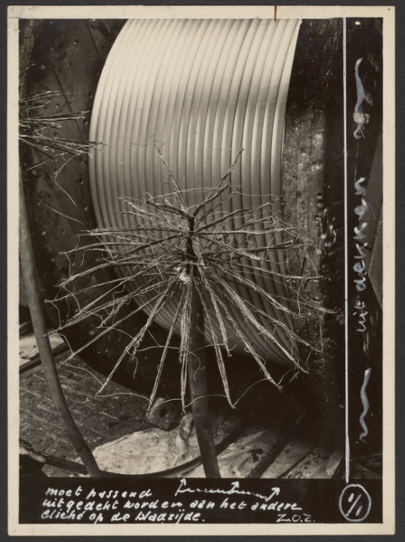 [Large Spool of Cable with Spiky Plant]