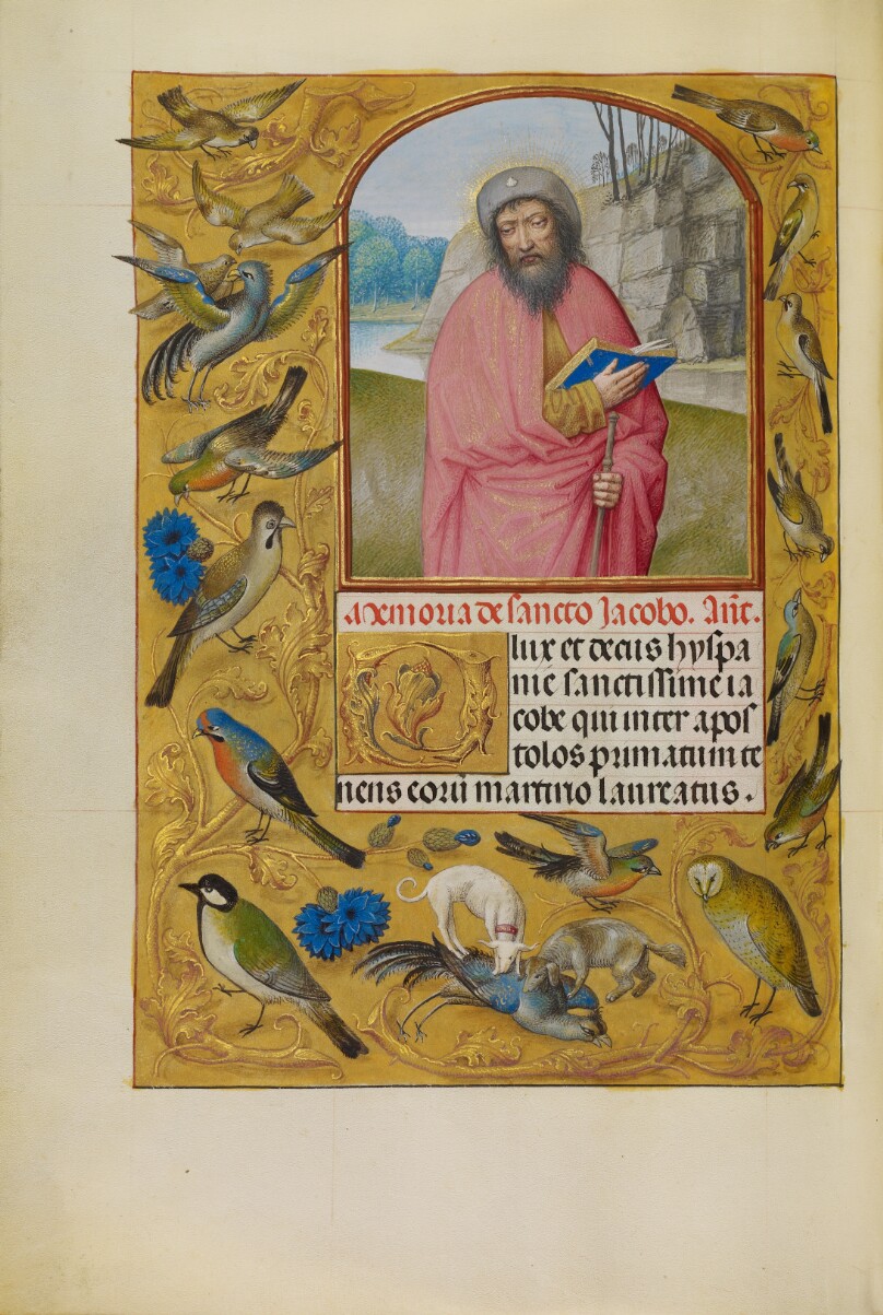 Saint James as a Pilgrim