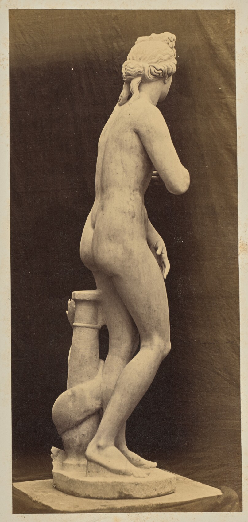 Venus