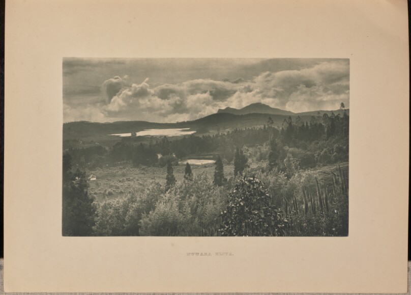 [Nuwara Eliya]