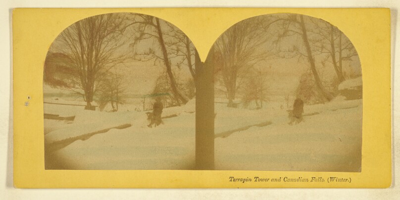 Terrapin Tower and Canadian Falls, (Winter.)