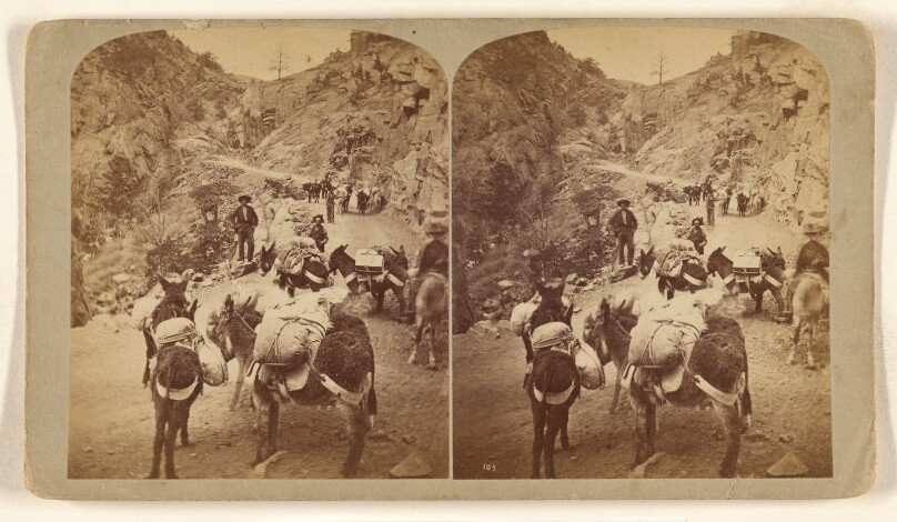 Burro Pack Train In a Mountain Pass, on their Way to the San Juan Silver Mines.