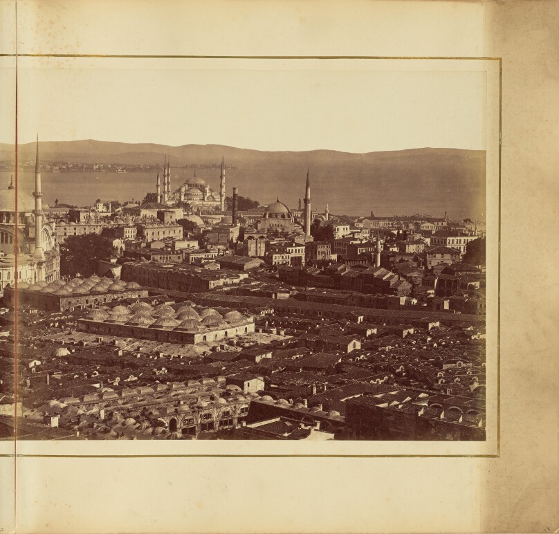 [Plate 8]