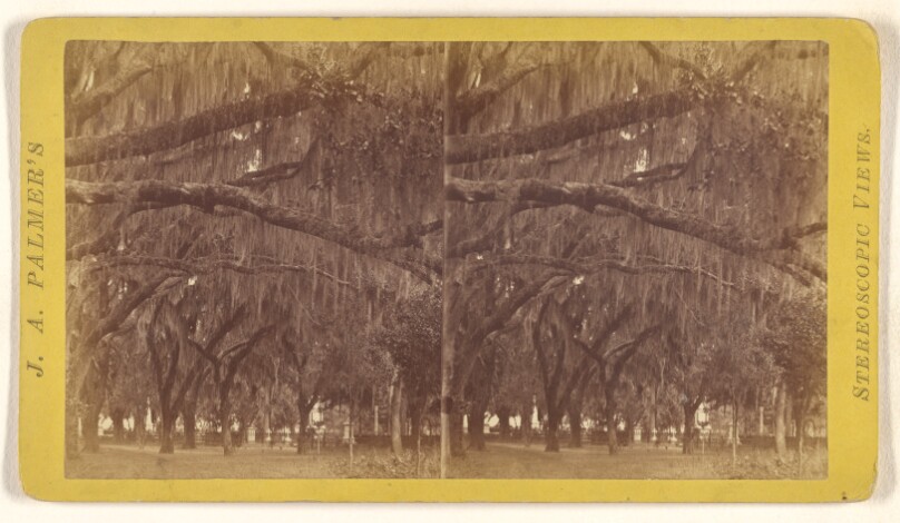 Bonaventure.
