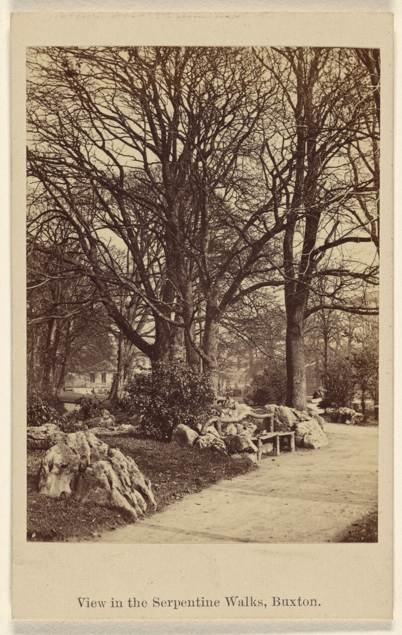 View in the Serpentine Walks, Buxton.