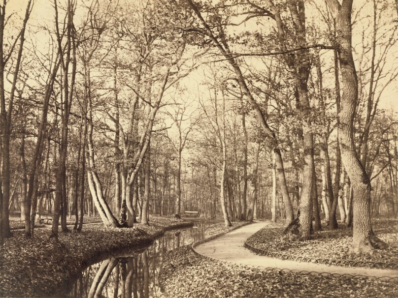 Bois de Boulogne, Paris