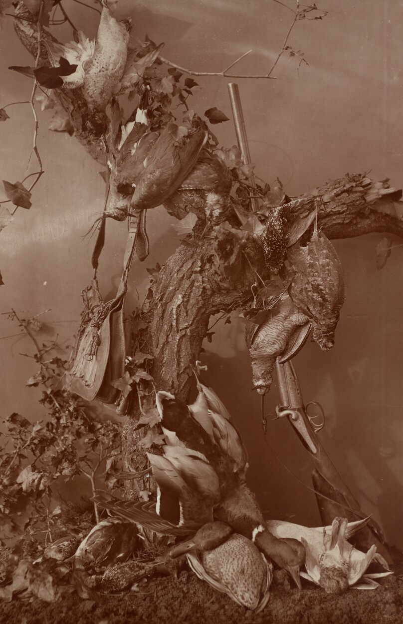 [Still Life: Dead Game]
