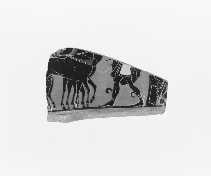 Attic Black-Figure Volute Krater Fragment
