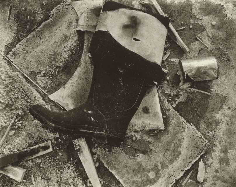 Boot, Owens Lake, California