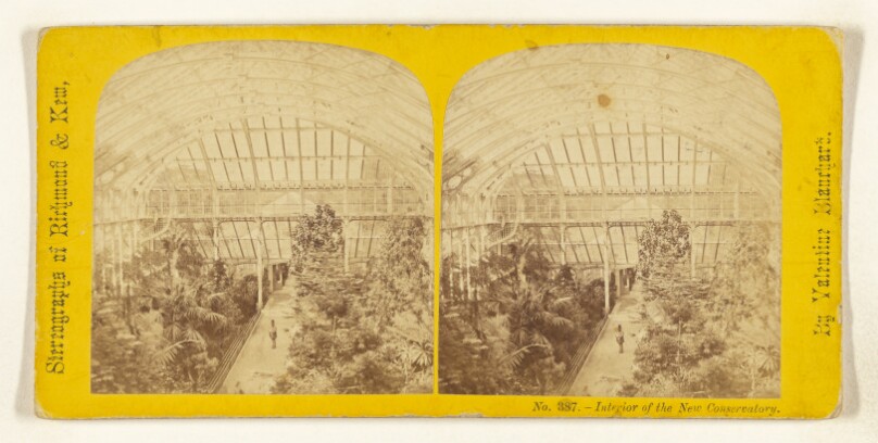 Interior of the New Conservatory. [Richmond & Kew]