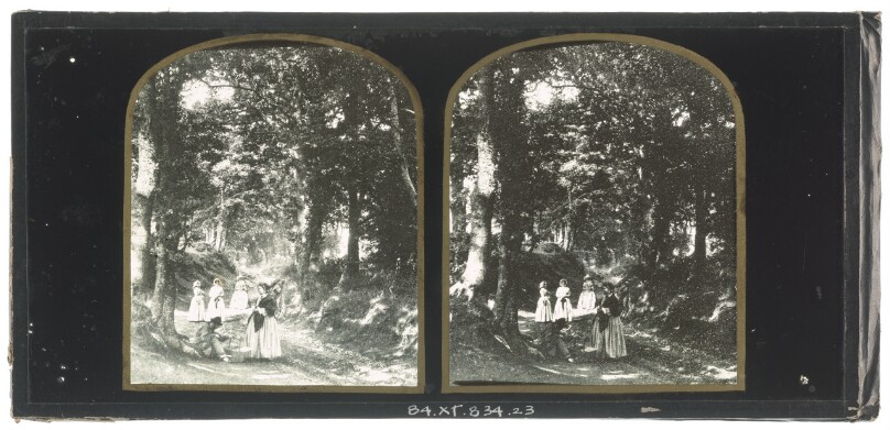 [Group of British women within a grove of trees, a cobbler seated at the base of a tree performing work]