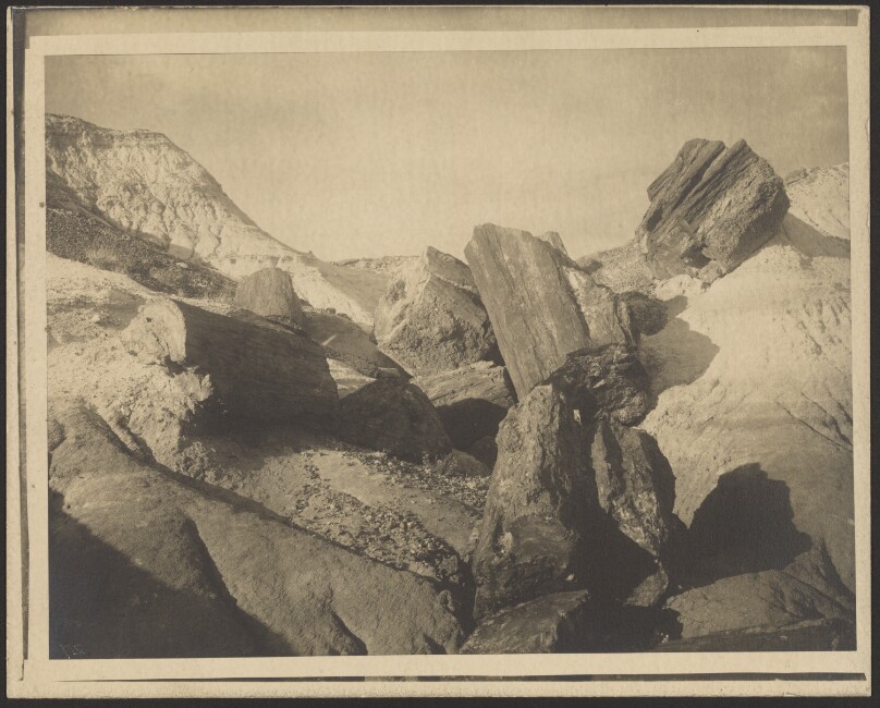 Petrified Logs South of Adamana, Arizona