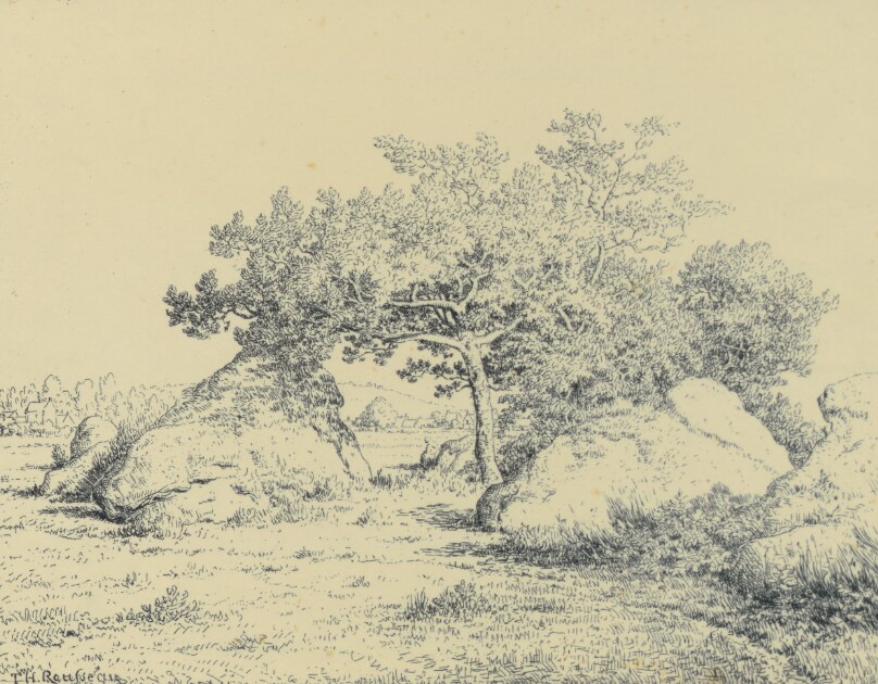 Le Cerisier de La Plante à Biau