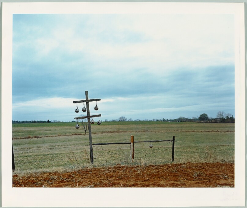 Gourd Tree, Near Akron, Alabama