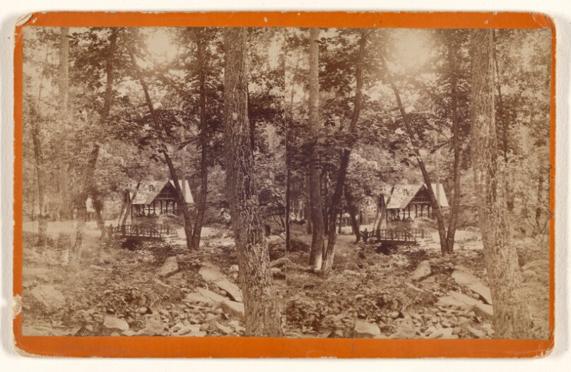 [View in the woods, Reading, Pennsylvania]