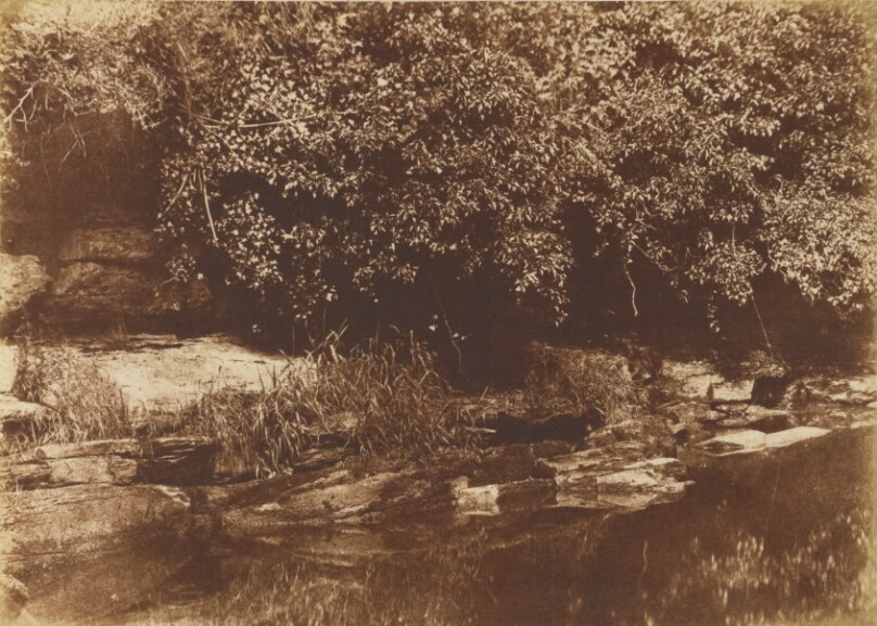 [Burnside, Fife]