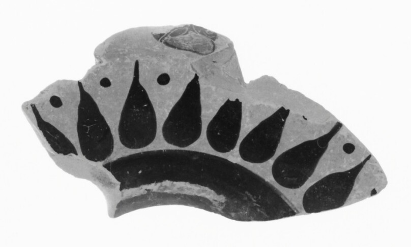Attic Black-Figure Nicosthenic Amphora Fragment