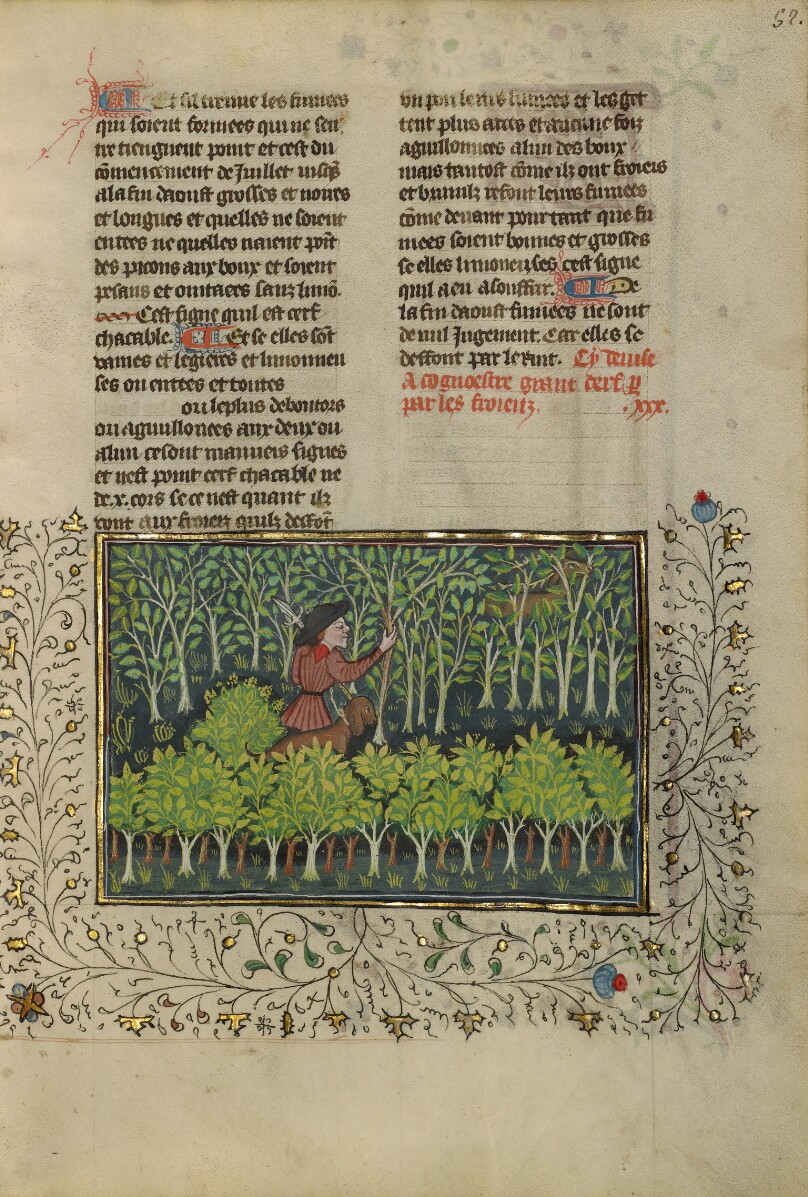 A Hunter and a Dog Examining a Deer's Fraying Place