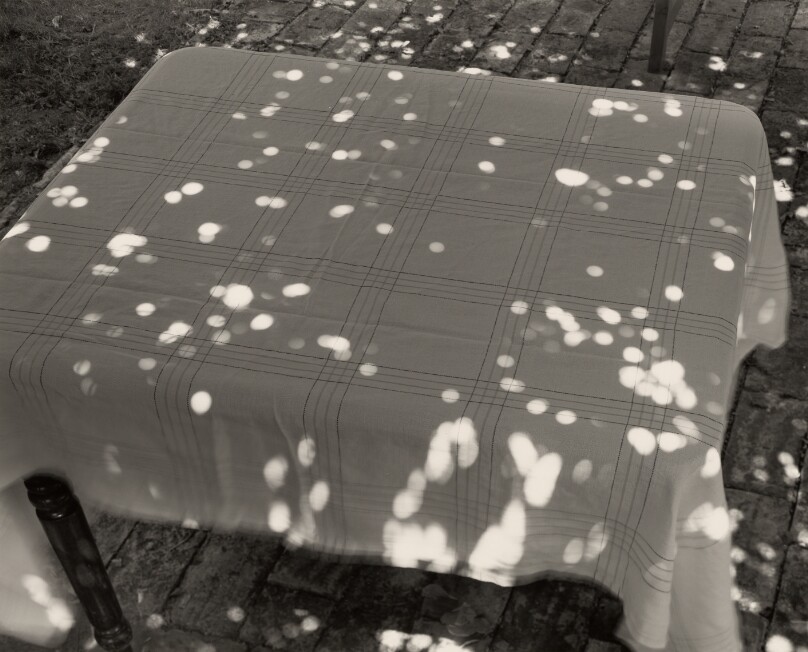 Sunspots on Covered Table, Umbertide, Italy
