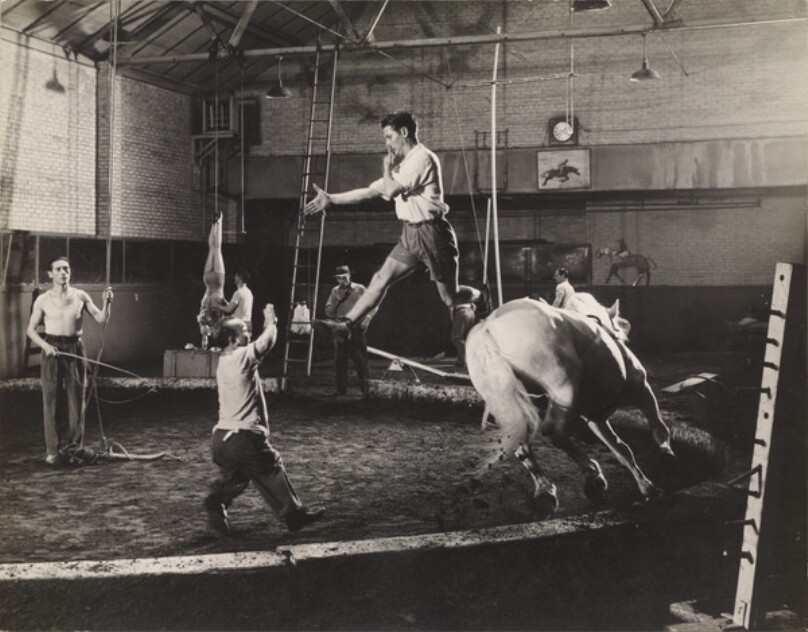 [The Cristiani Circus Family of Equestrian Acrobats Practicing Without Their Horses Before Performances in Madison Square Garden]