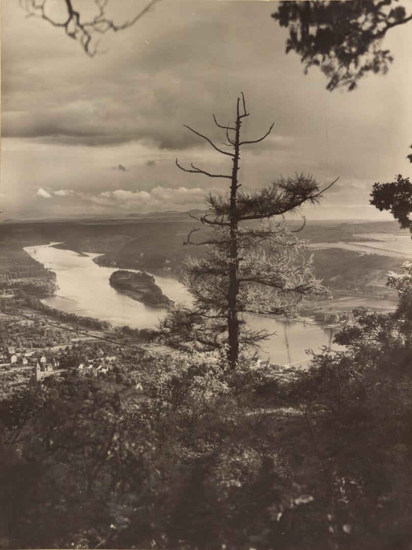 [View of the Rhine from the Siebengebirge (Blick vom Siebengebirge auf den Rhein)]