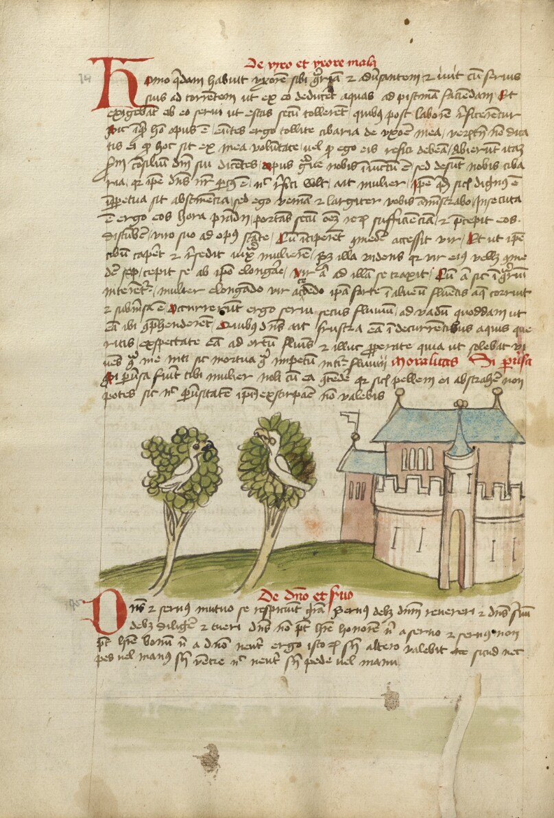 A Bird Perched in a Tree near a Town